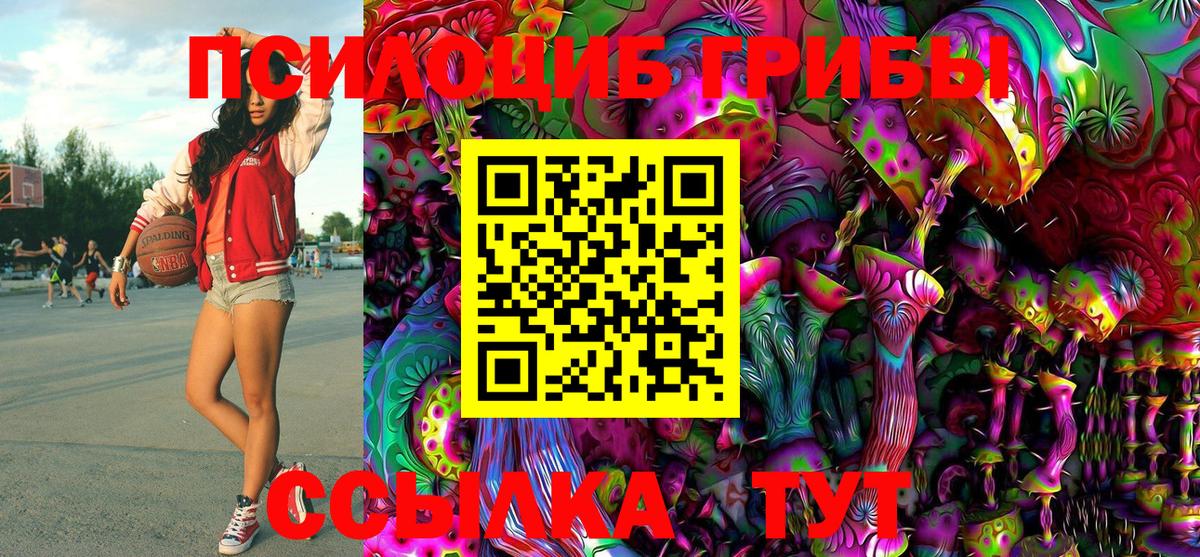 Псилоцибиновые грибы GOLDEN TEACHER  Вход с VPN  Славгород  Галлюциногенные грибы MAGIC MUSHROOMS 